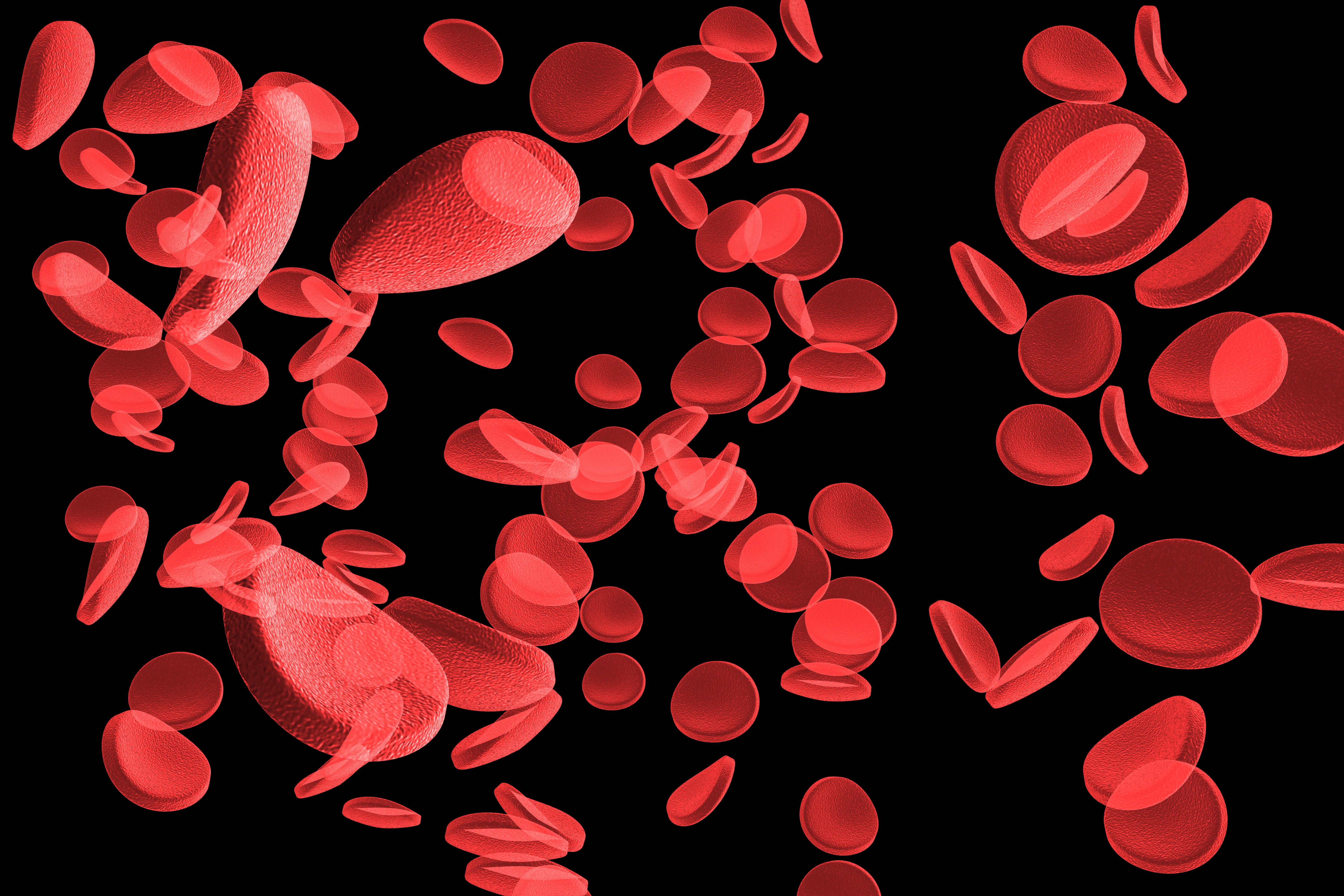 Red blood cells 3d, Dreamstime