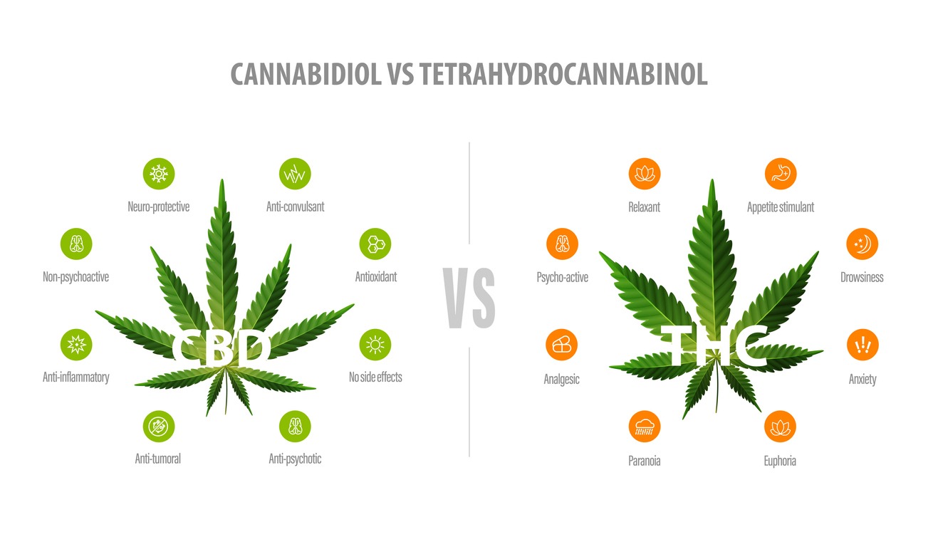 CBD-THC-Cannabidiols, iStock-1308312209