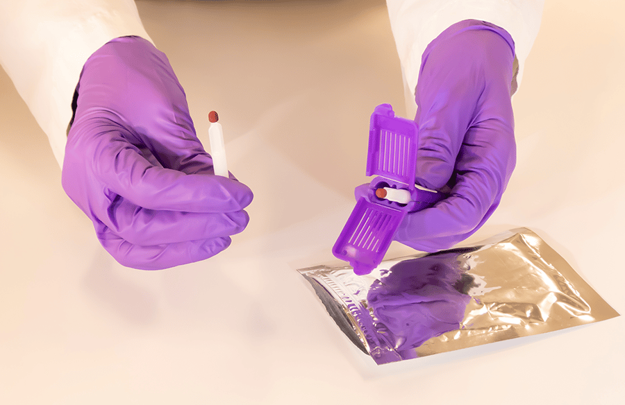 A pair of gloved hands holds a mitra microsampler in a laboratory setting. 