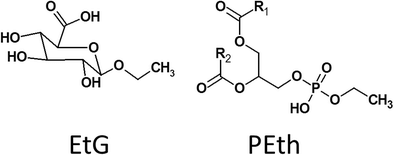 Structural-formulas-of-ethyl-glucuronide-EtG-and-phosphatidylethanol-PEth-R1-and-R2