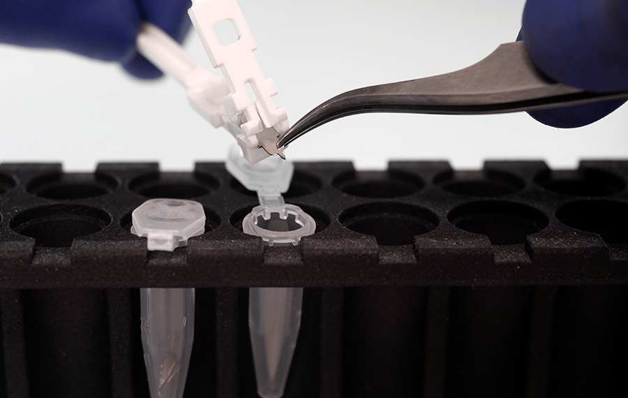 The harpera micro blade with skin specimen sample being placed in a laboratory tube for analysis. 