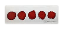 a sample of a dried blood spot paper