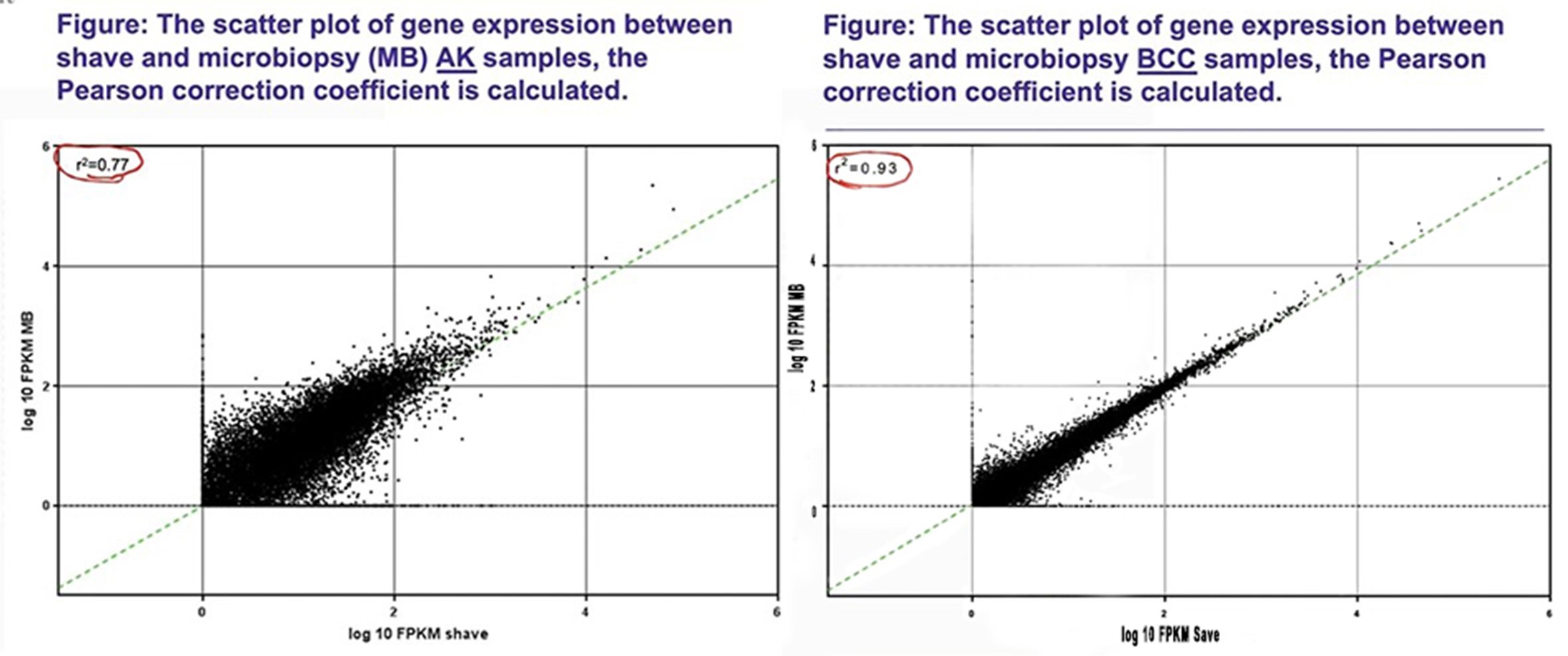 Scatterplots