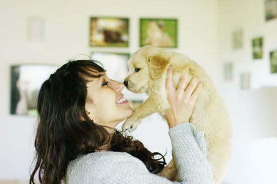 blood-sampling-companion-animals.jpg