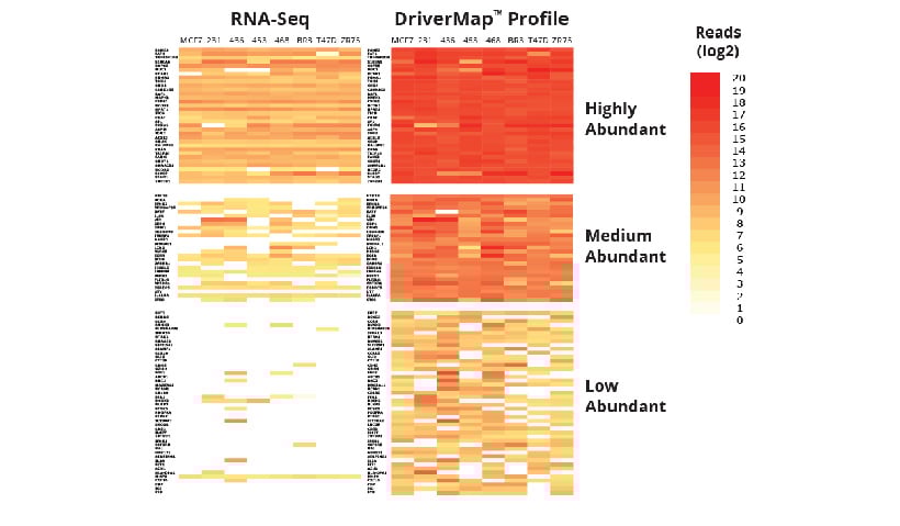 RNA-Seq-Vs-DriverMap-Profile-heatmap
