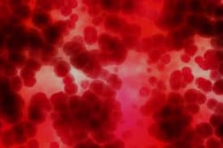 microscopic view of blood cells