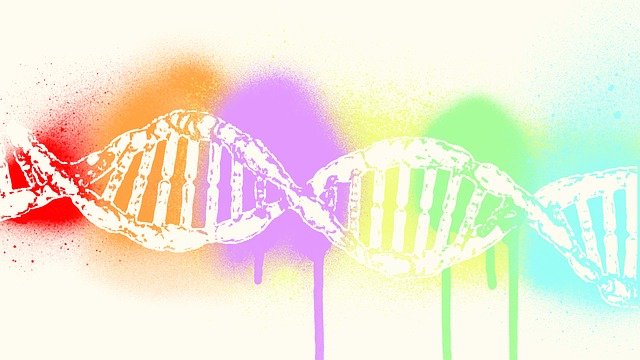 A DNA strand artwork  