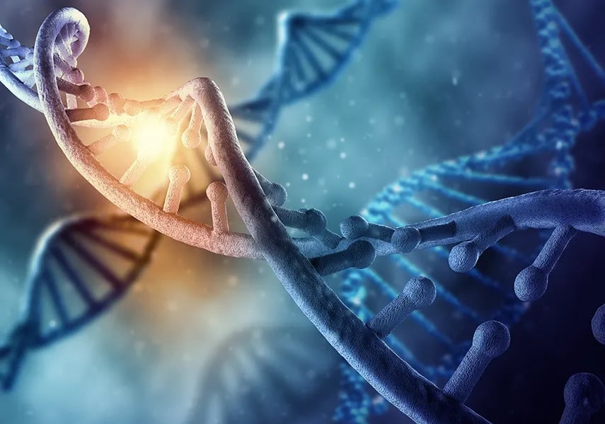 an illustration of DNA strands 