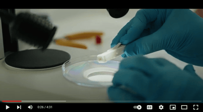 Video from Hull Skin Research Centre