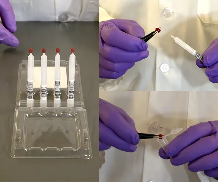 processing-dried-blood-rna-samples_v2