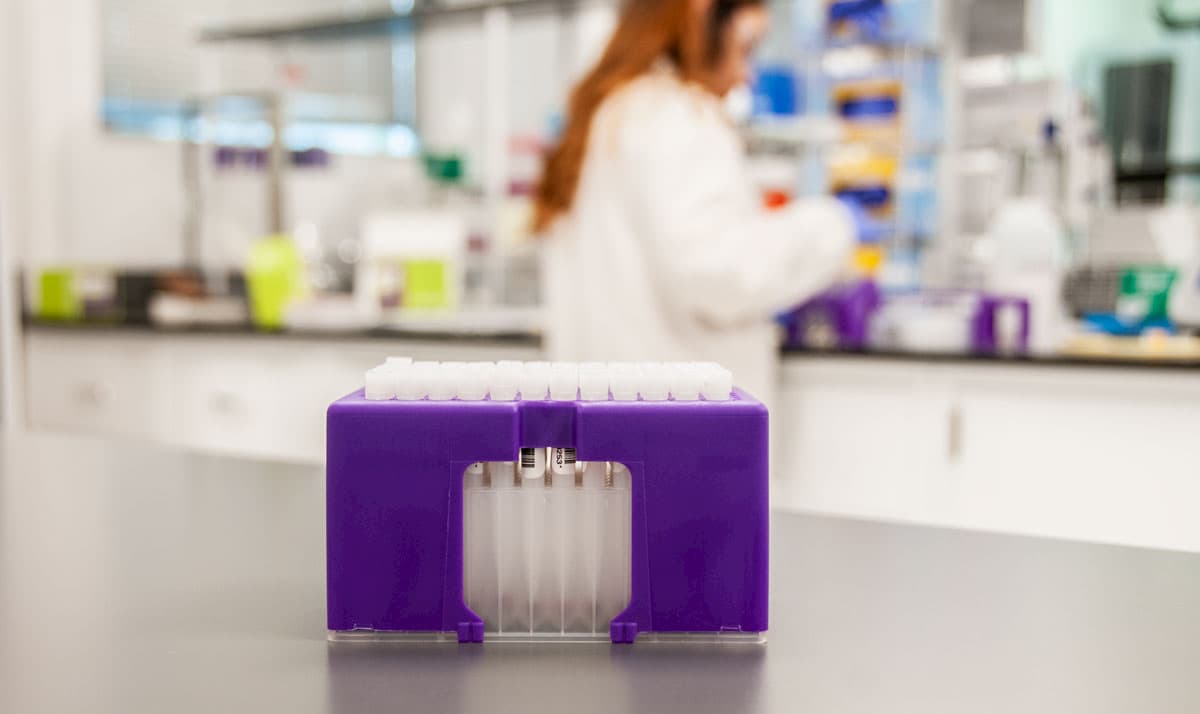 purple-rack-in-lab