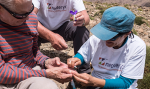 collecting a blood sample from a mountain top