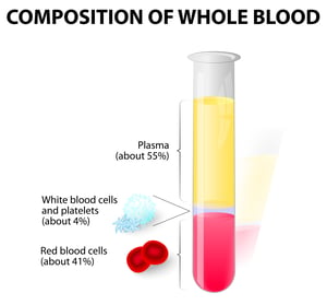 illustration of the compositioin of whole blood, 55% plas,a 4% white blood cells and platelets and 41% Red Blood cells