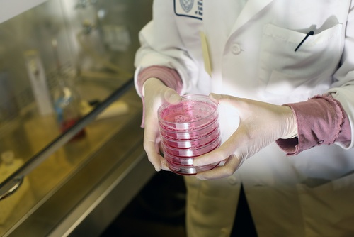a lab technician walks across the laboratory holding several canisters with tissue samples.