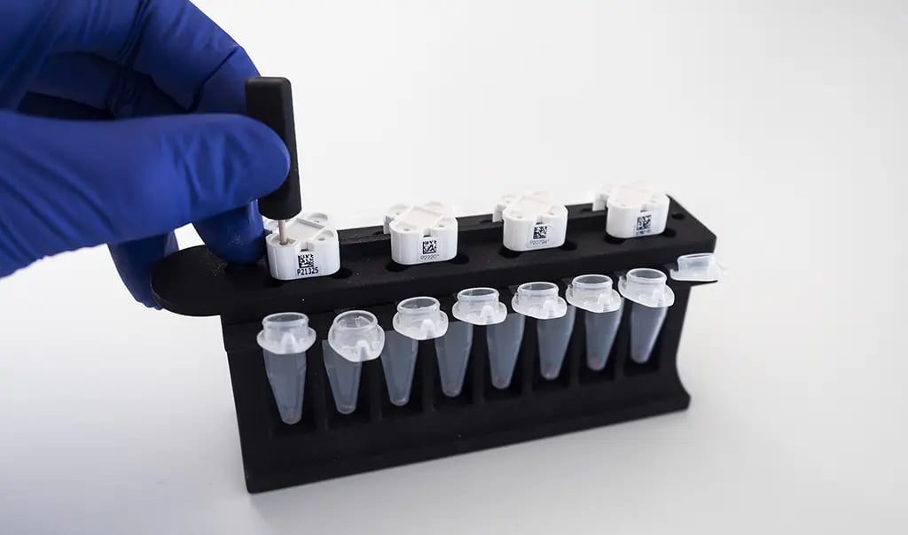 a gloved hand punctures a hemapen cartridge, forcing the precut dbs sample into a culture tube. The hemapen cartridge are all placed neatly on a hemapen laboratory rack