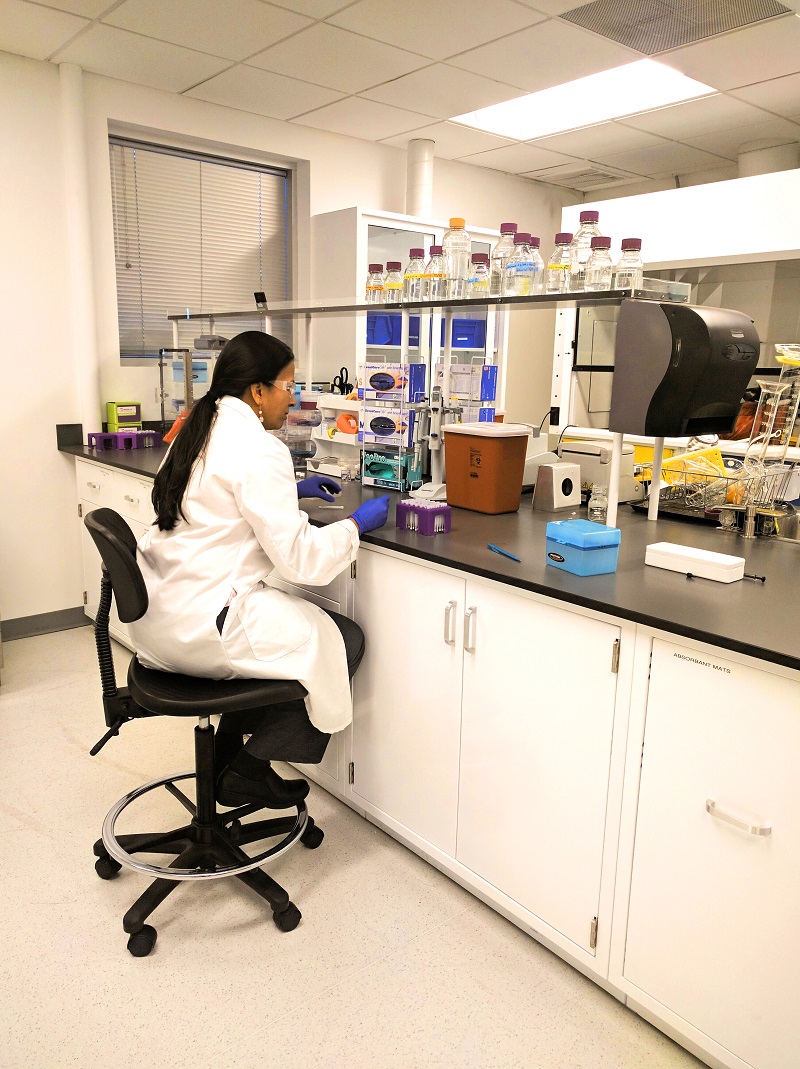 microsampling, Mitra_microsampling_in_the_lab-1