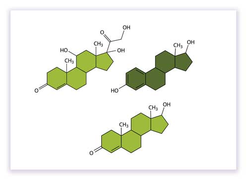 illustration of hormones / steroids detected with Mitra dry-blood microsamples illustration of hormones / steroids detected with Mitra dry-blood microsamples