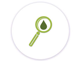 graphic icon of a blood drop under a magnifying glass - click to download a research study on the samiliarities and difference in blood collection graphic icon of a blood drop under a magnifying glass - click to download a research study on the samiliarities and difference in blood collection