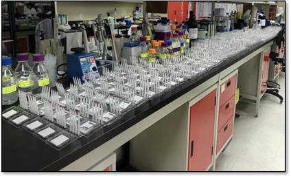 VAMS microsampling for preclinical research, Plomley1