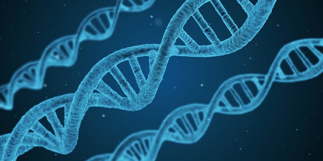 DNA, dna-1811955_640