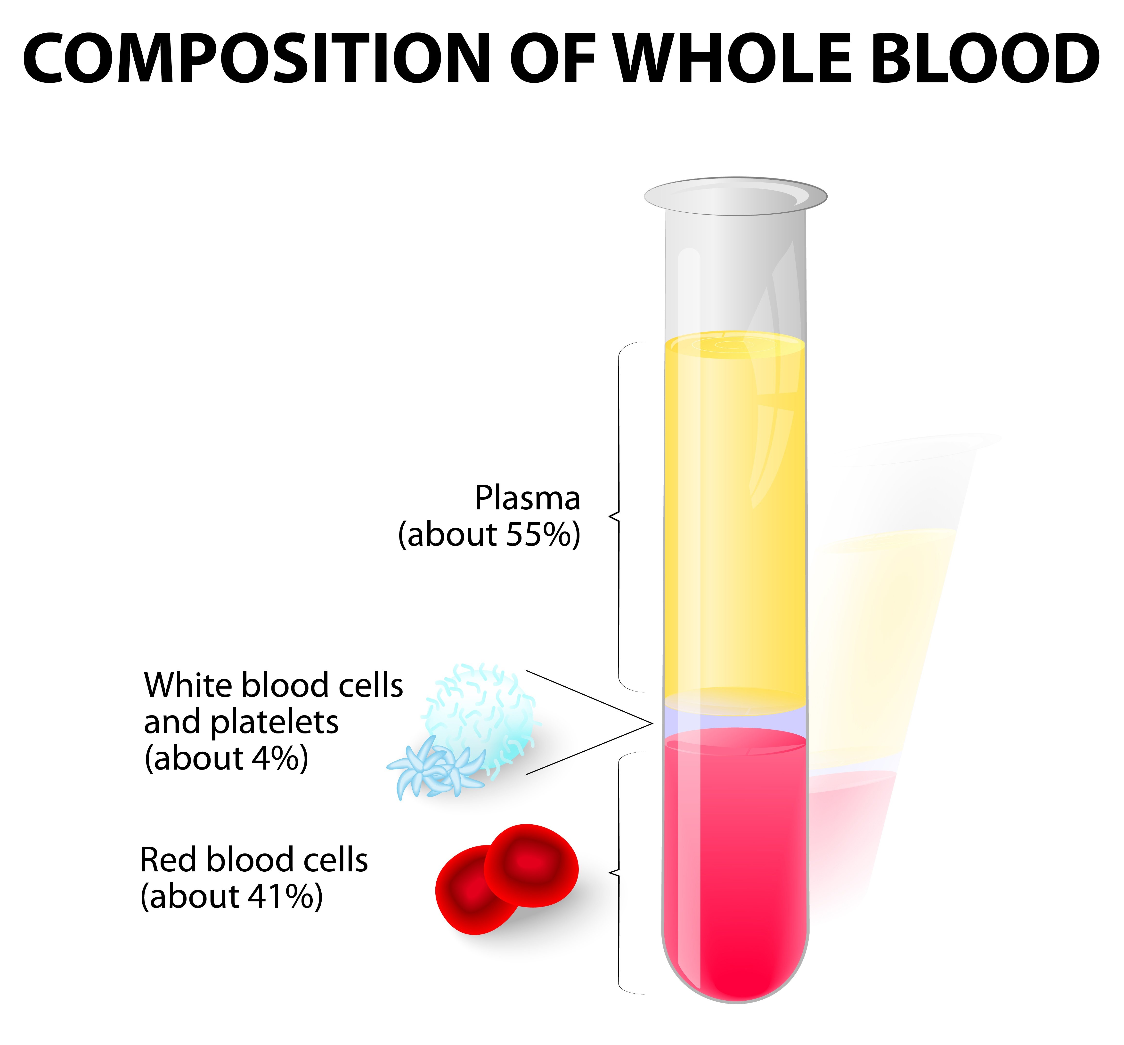 hematocrict effect in blood