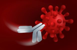 neutralizing antibodies are key to stopping COVID-19 re-infection
