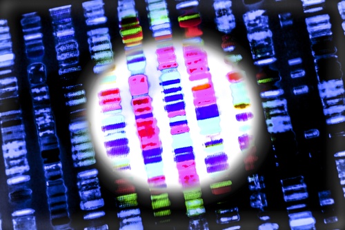 next generation sequencing, DNA, RNA