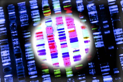 next generation sequencing, RNA, DNA