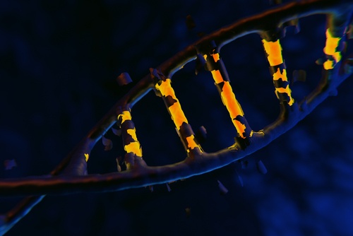 genome sequencing, shutterstock_747442906.jpg